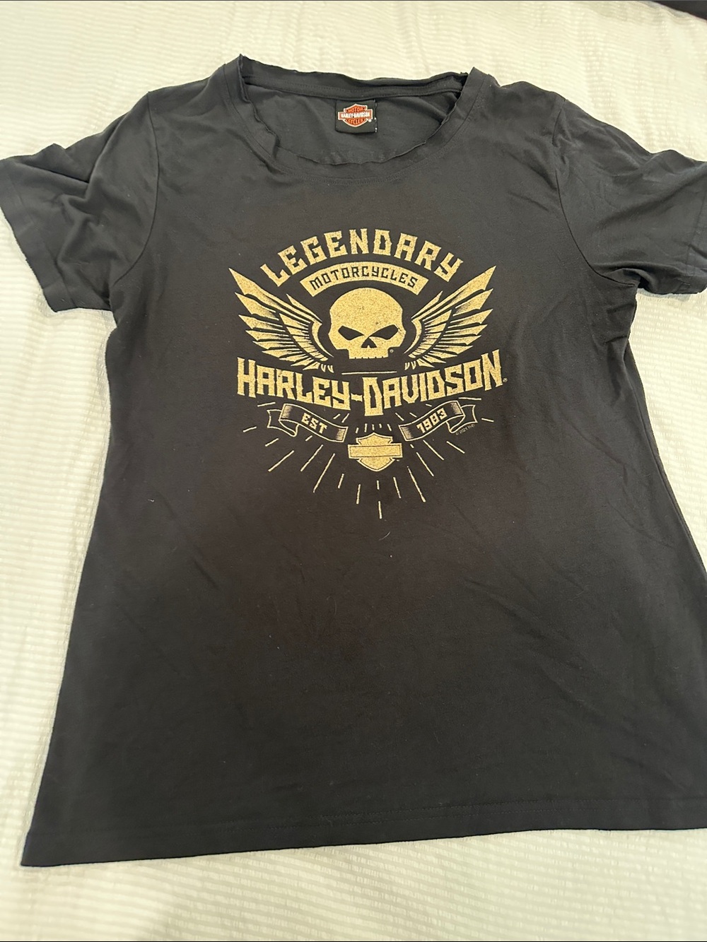 Harley-Davidson Black Tee with Gold Winged Skull Graphic